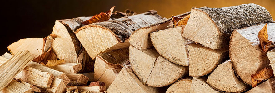 Chauffage au bois : faire ses achats de bois de chauffage en ligne